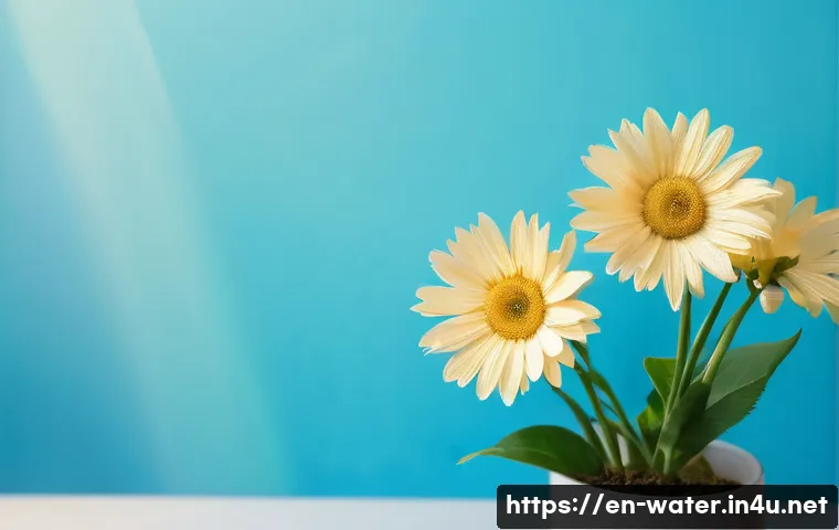 수질환경 자격증 활용 성공기 관련 이미지 1